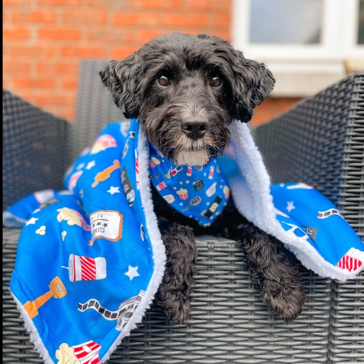 zeldaandharley.ie Howl-lywood Dog Blanket