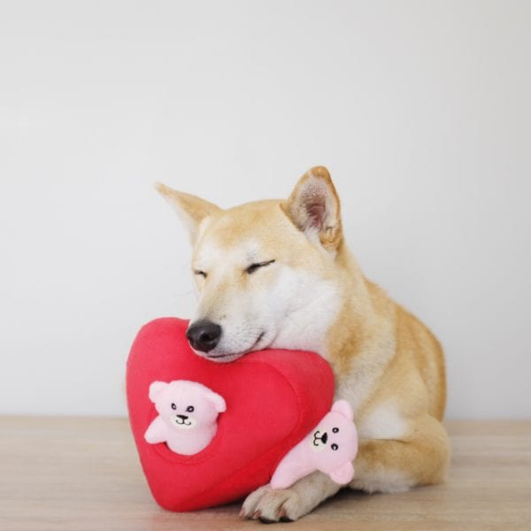 Zippy Paws Animals & Pet Supplies Zippy Burrow – Heart 'N Bears