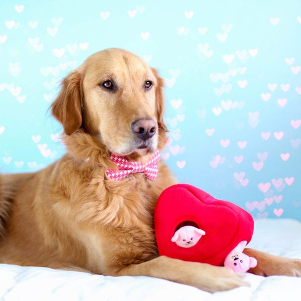 Zippy Paws Animals & Pet Supplies Zippy Burrow – Heart 'N Bears